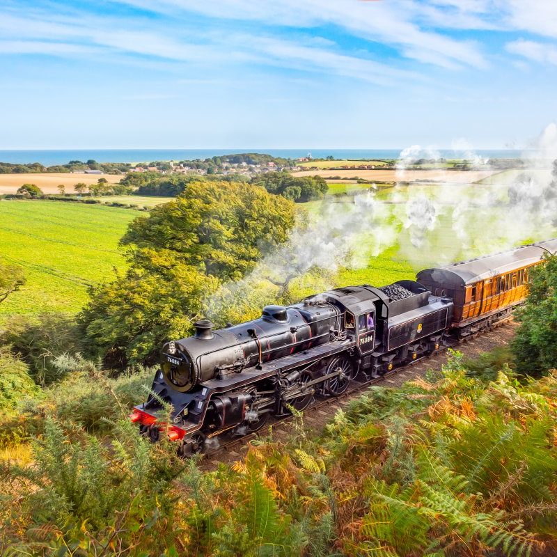 poppyline-at-kelling